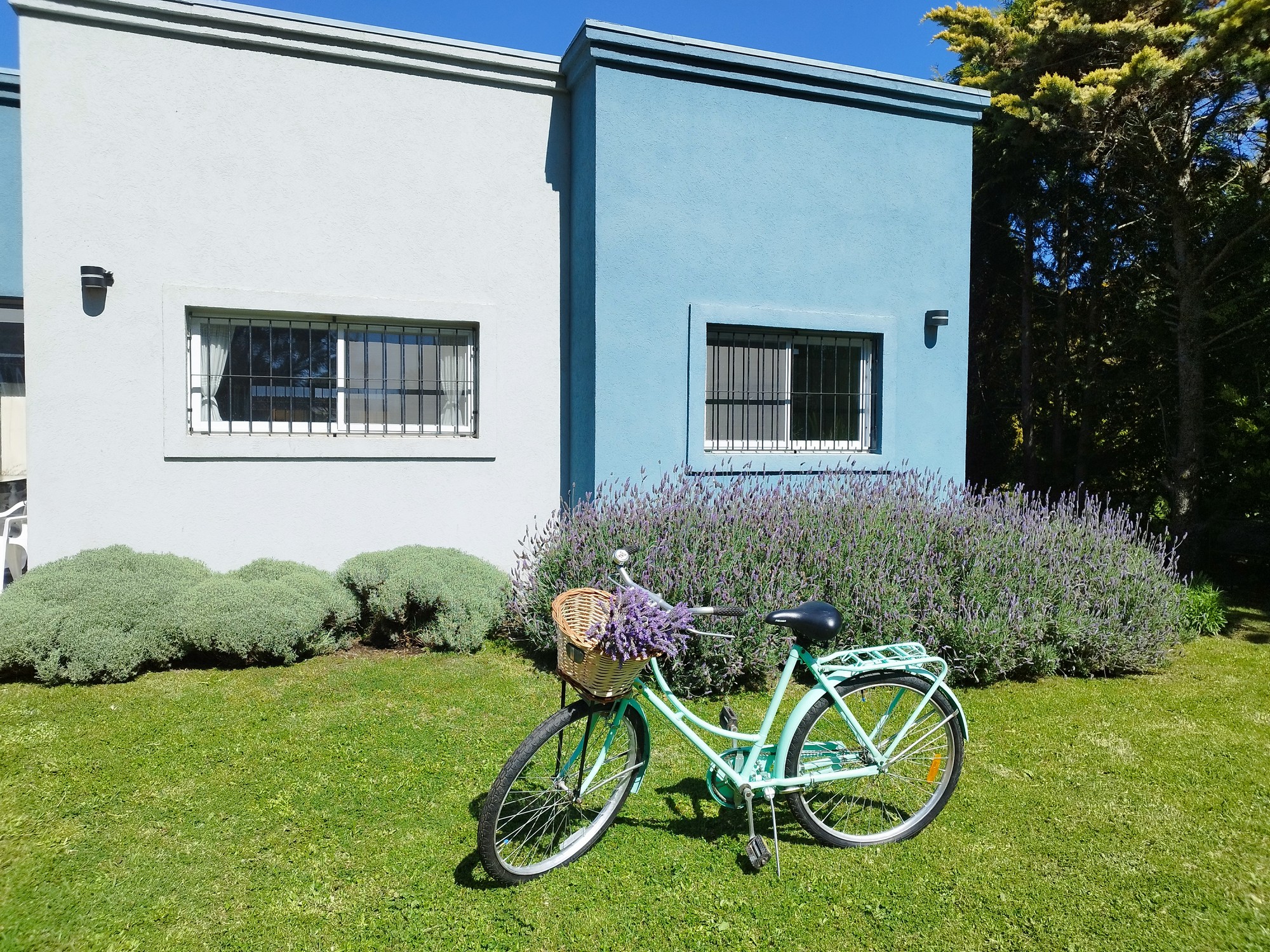 Departamento belen - Imagen 1